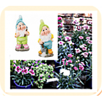 Garden Ornaments, Plant Gifting & Accessories